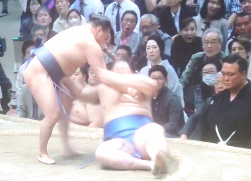 250525hoshoryu onosato