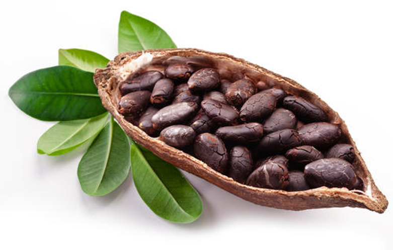 cacao2