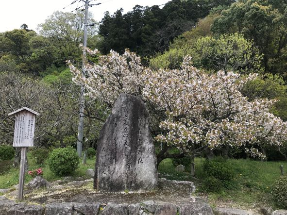 dazaifu4