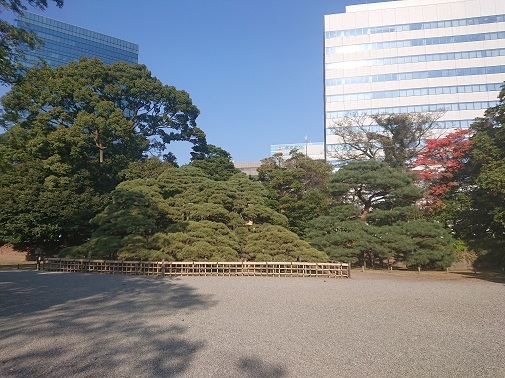 hamarikyu10