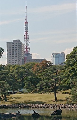 hamarikyu2