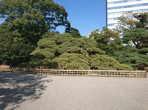 hamarikyu4