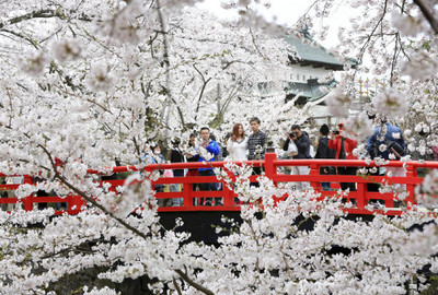 hirosaki 