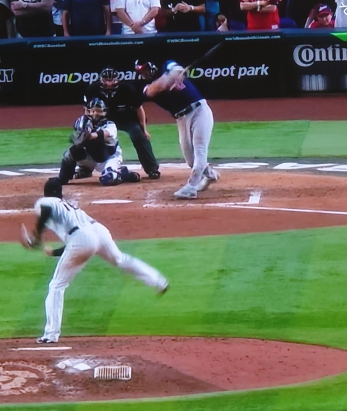 wbcfinal20232