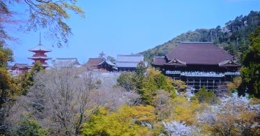 kiyomizu3