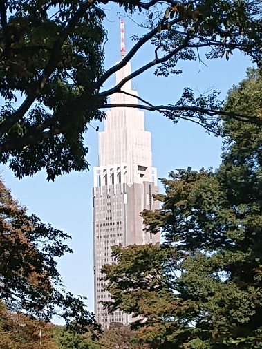 meijijingu11