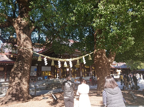 meijijingu5