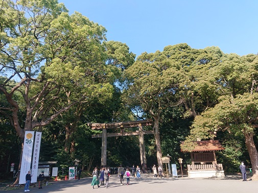 meijijingu9