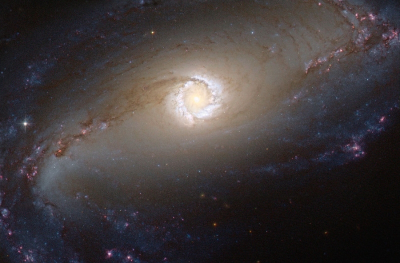 ngc10972