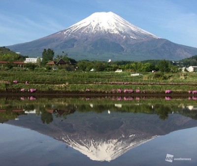 sakasafuji