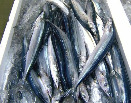 sanma