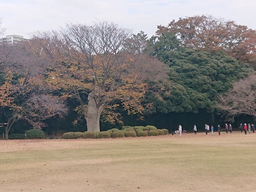 sinjukugyoen32