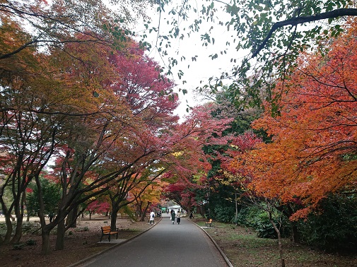 sinjukugyoen36