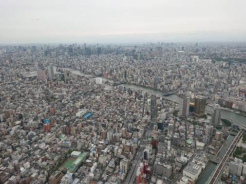 skytree2