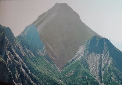 #２０２６年の想巡１月８日！